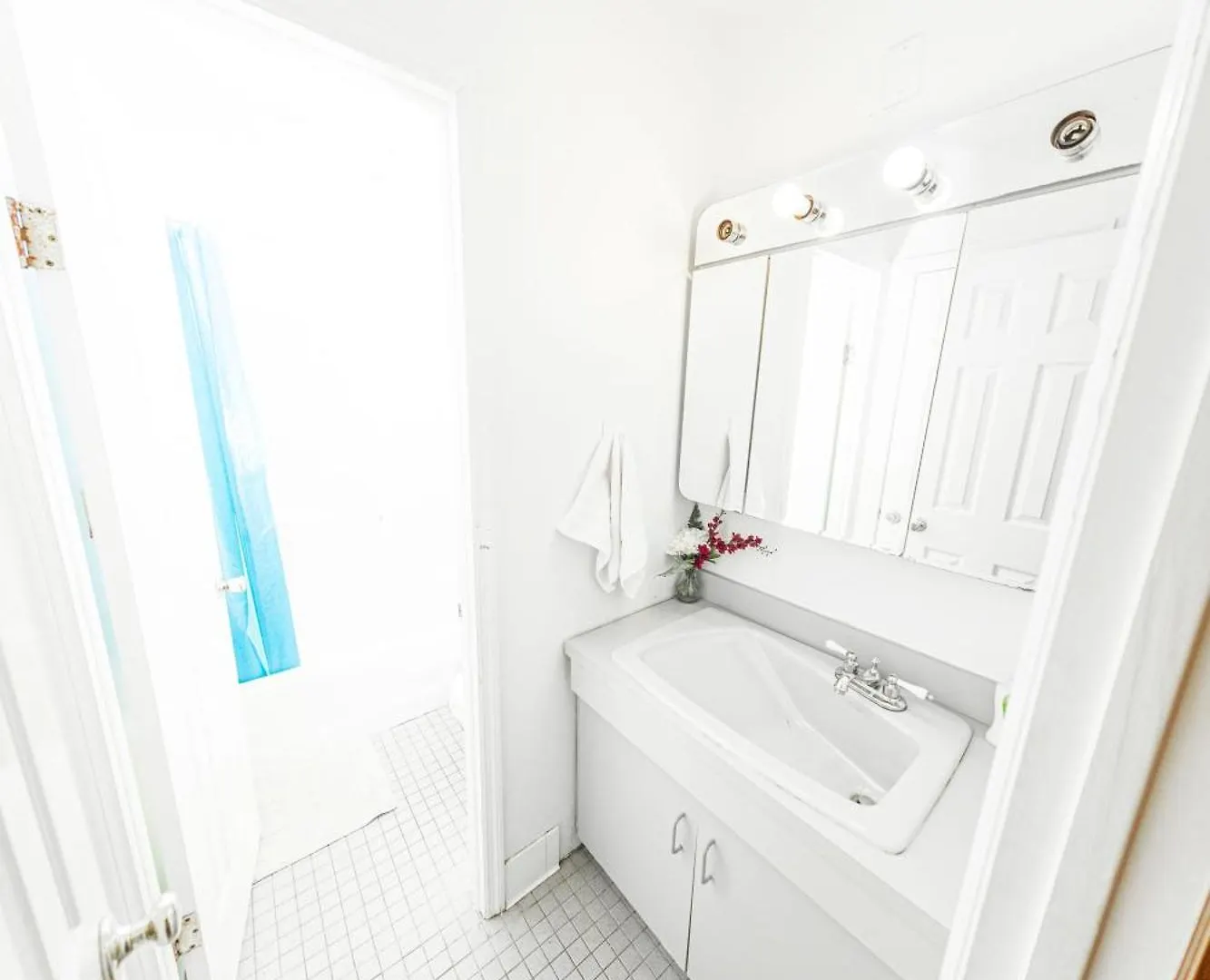 Central & Affordable Williamsburg Private Bedroom Close To Subway New York 0*,  USA